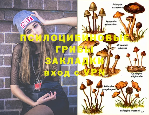 кокаин Арсеньев