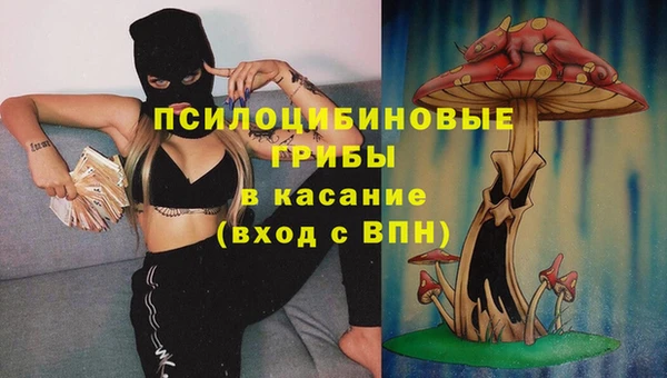 трава Аркадак