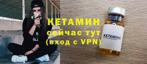 трава Аркадак