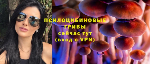 трава Аркадак